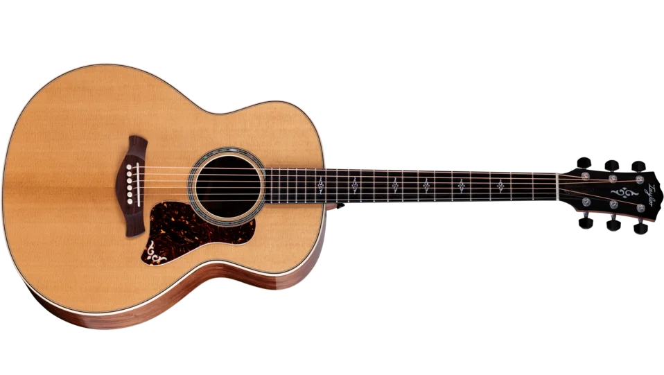 Gold Label 814e Honduran Rosewood Acoustic-Electric Guitar